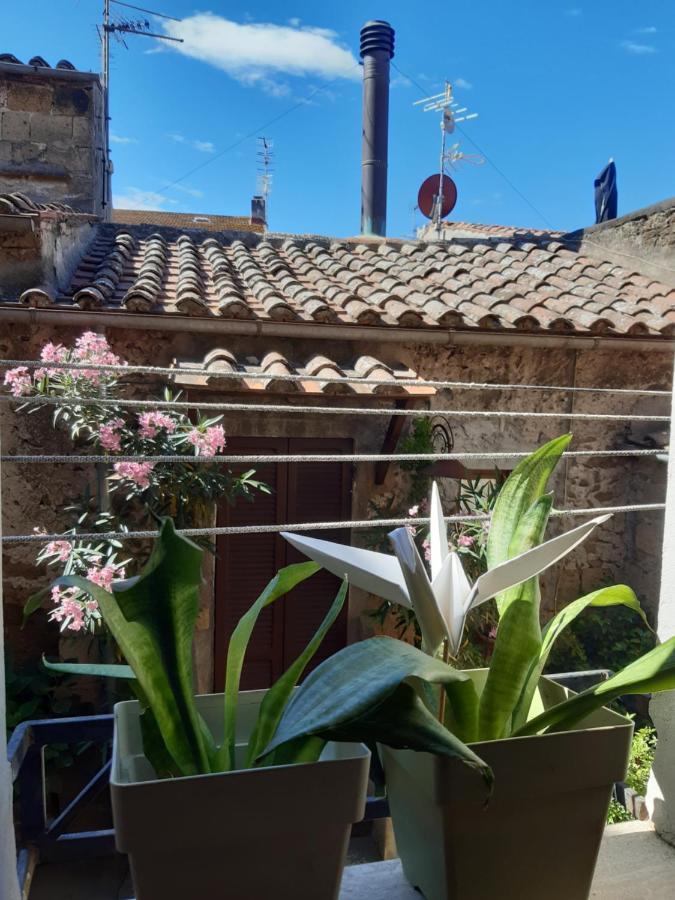 Casa Il Girasole Pitigliano Apartment ภายนอก รูปภาพ