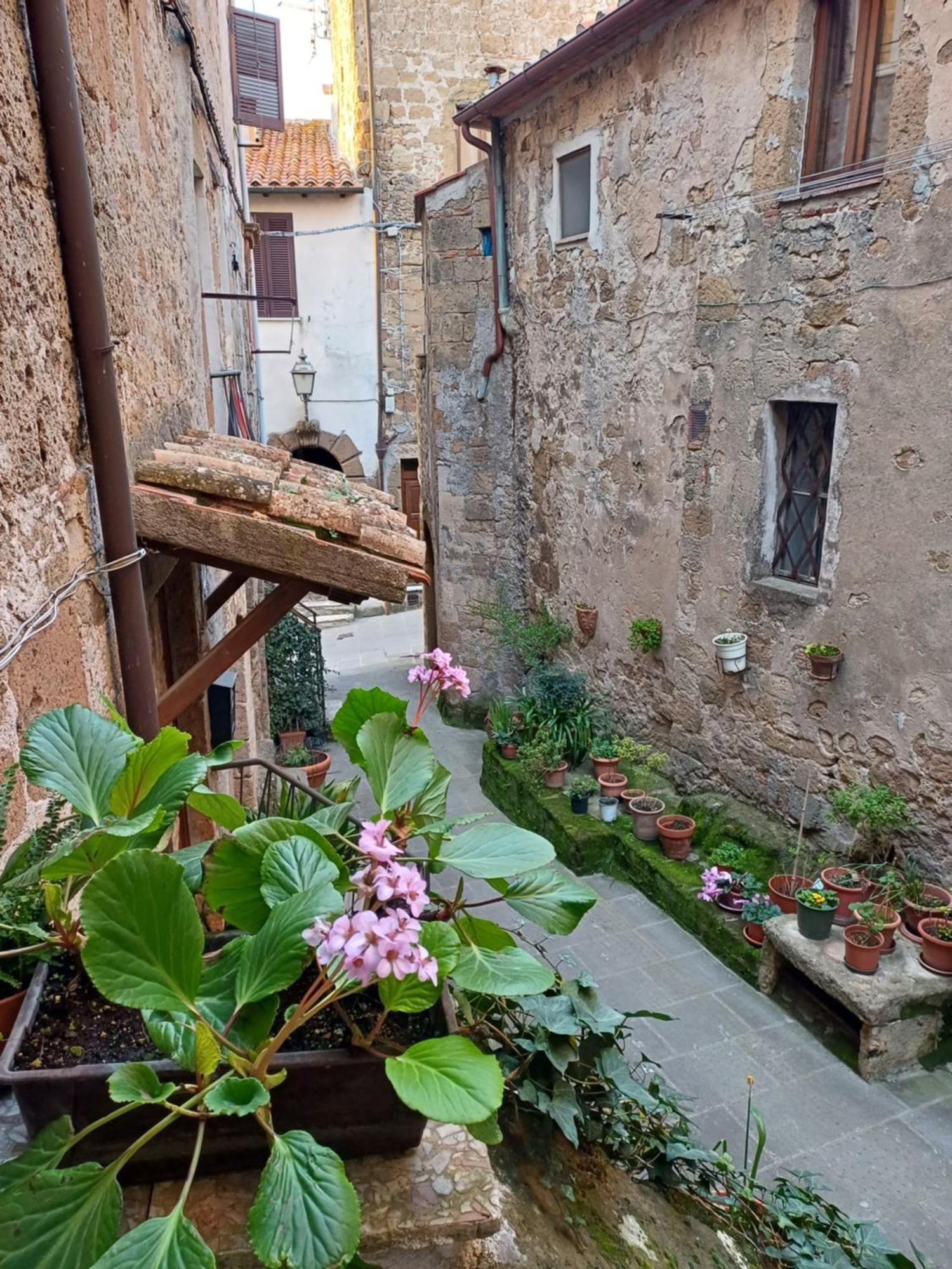 Casa Il Girasole Pitigliano Apartment ภายนอก รูปภาพ